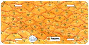 Ethan Dmitriyev-Radowic