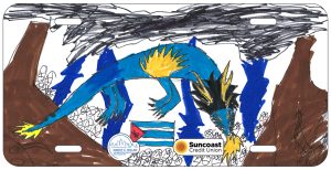 Fabian Davila Garcia